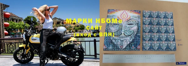 индика Баксан