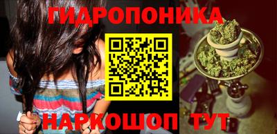 дурь Берёзовский