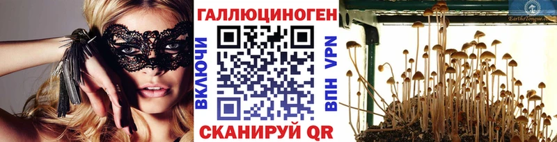купить наркоту  Камень-на-Оби  Псилоцибиновые грибы MAGIC MUSHROOMS 