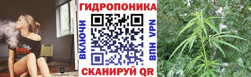 Марихуана гибрид  Камень-на-Оби 